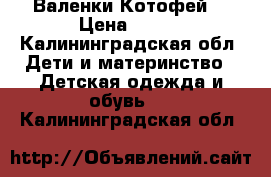 Валенки Котофей  › Цена ­ 700 - Калининградская обл. Дети и материнство » Детская одежда и обувь   . Калининградская обл.